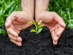 土壤微量元素測(cè)定儀改善土壤生態(tài)環(huán)境